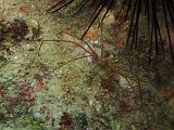 Curacao 04-12 077